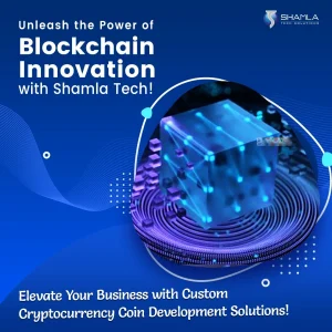 Blockchain Developers