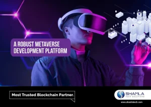 metaverse Development Platform
