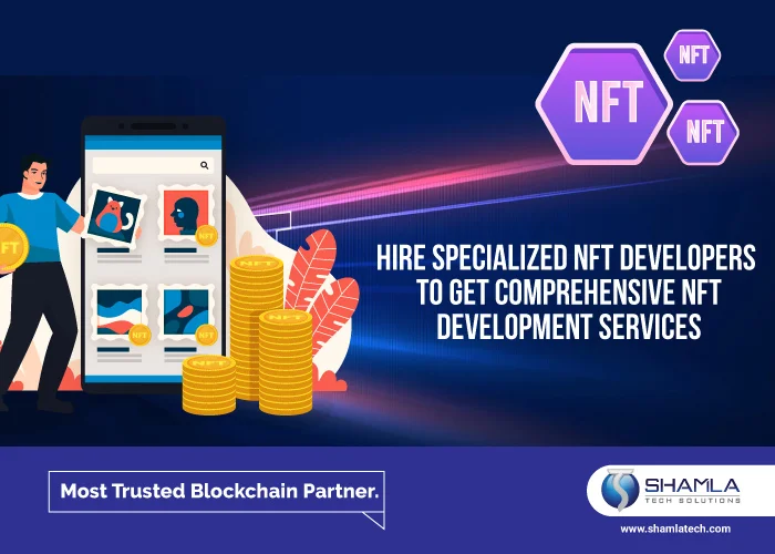 Nft Developer