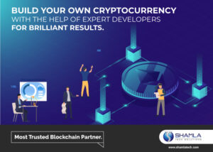 Crypto coin Developer