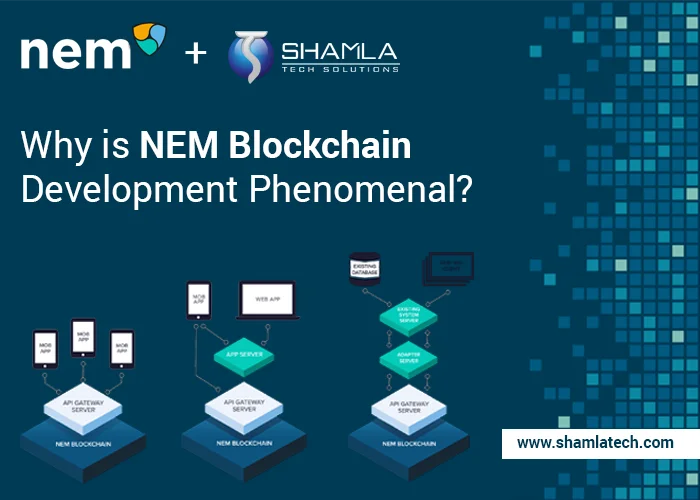 Hire Nem Blockchain Developers