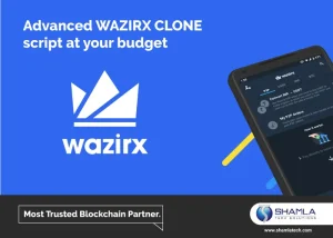 wazirx clone