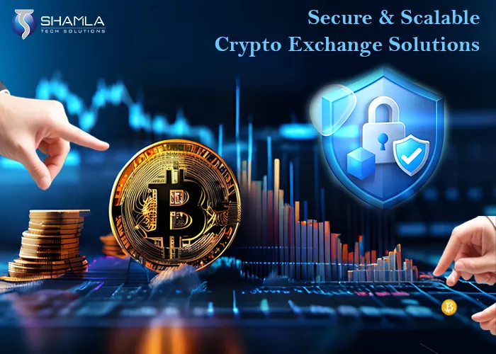 Set Up A White Label Crypto Exchange services in 2024