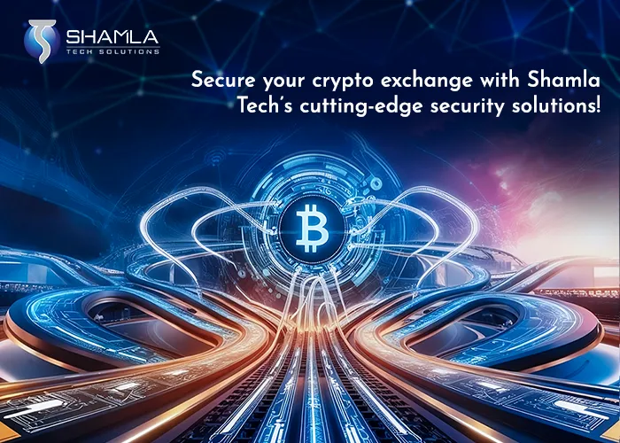 build a crypto exchange services