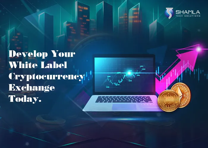 Create your own white label crypto exchange in 2024