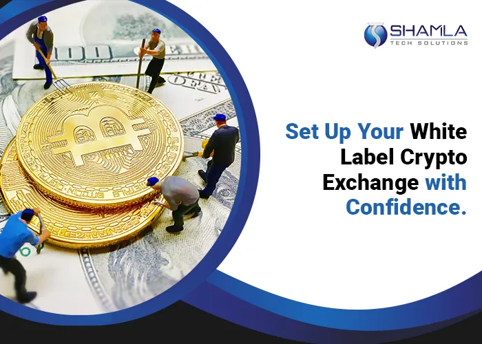 Create your own white label crypto exchange in 2024