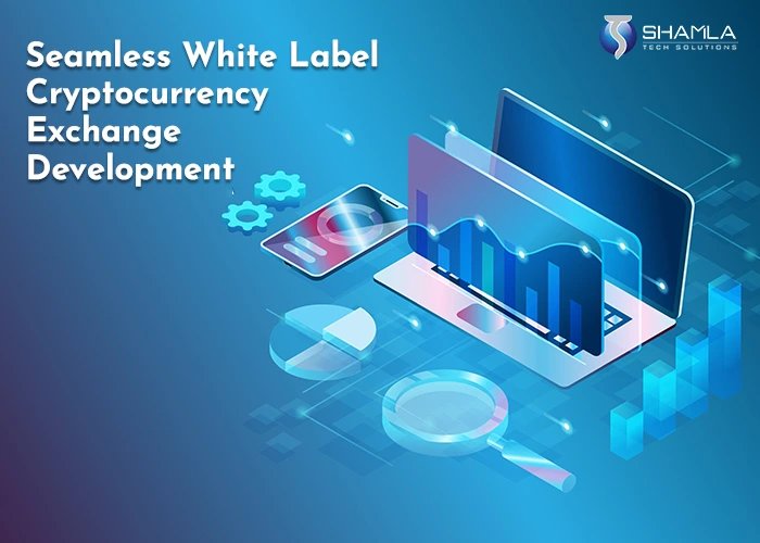 top Block chain Developers to hire at budget price