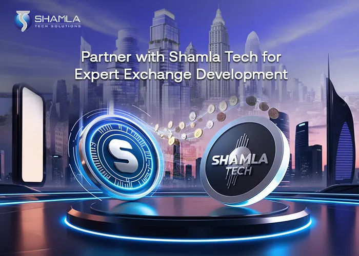 Set up a Crypto Exchange service 2025