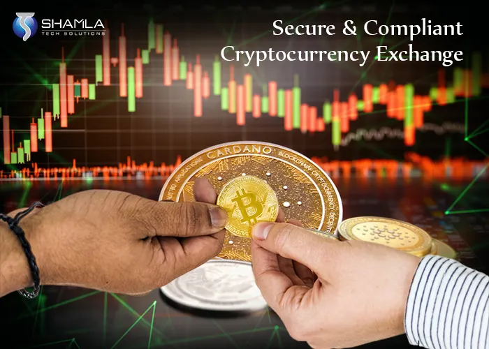 Crypto Exchange Platform Development in budget price at 2025