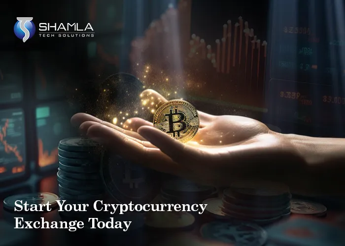 Crypto Exchange Platform Development in budget price at 2024