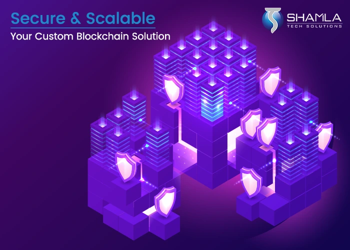 Custom Crypto Development services