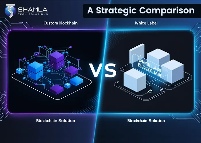 Custom Blockchain Solutions