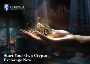 Future of Meme Coins 2025