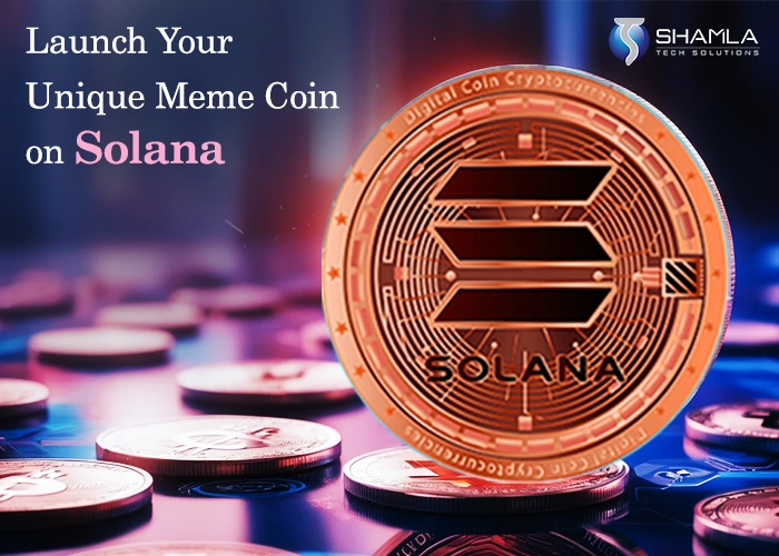 Create Your Own Meme Coin on Solana at budget price