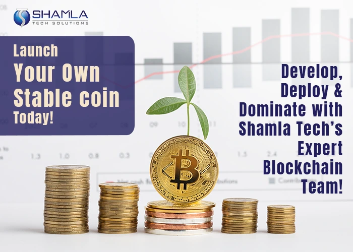 Build a Stable coin in budget price