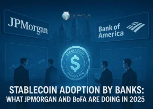 stablecoin adoption