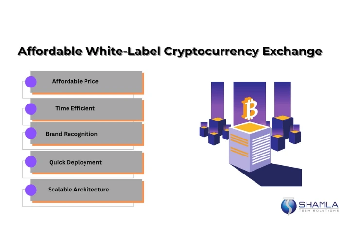 cost to create white label exchange