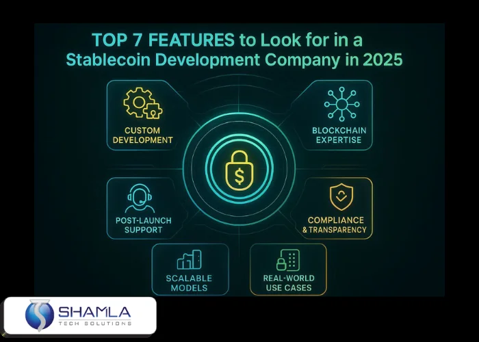 Stablecoin Development Company