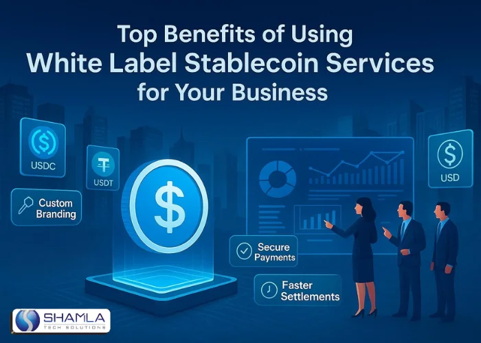 white label stablecoin services