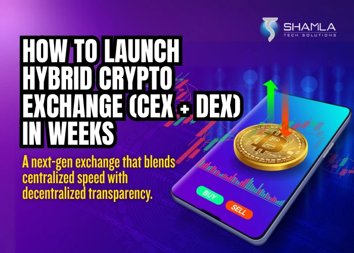 How to Launch Hybrid Crypto Exchange (CEX DEX) in Weeks