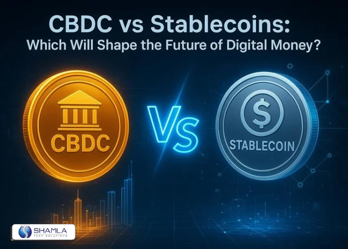CBDC vs Stablecoins