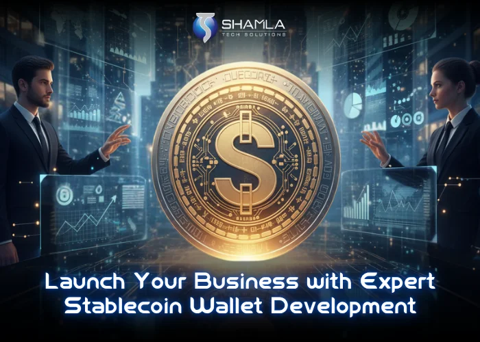 Stablecoin Wallet Development