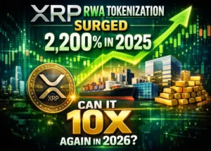 XRP RWA Tokenization