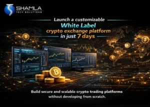 Where to Find the Best White Label Cryptocurrency Exchange Software Solutions